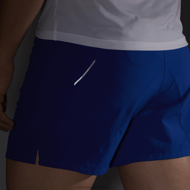 Salomon surfa på nätet shorts för män - kors 5 T82RP277