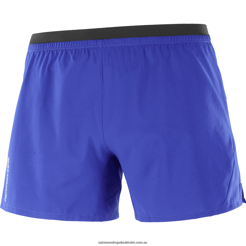 Salomon surfa på nätet shorts för män - kors 5 T82RP277