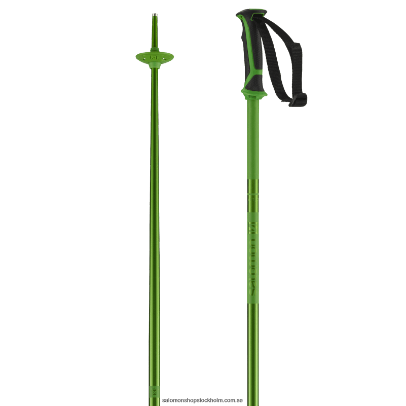 Salomon grön alpina stavar för män - arktisk T82RP1258