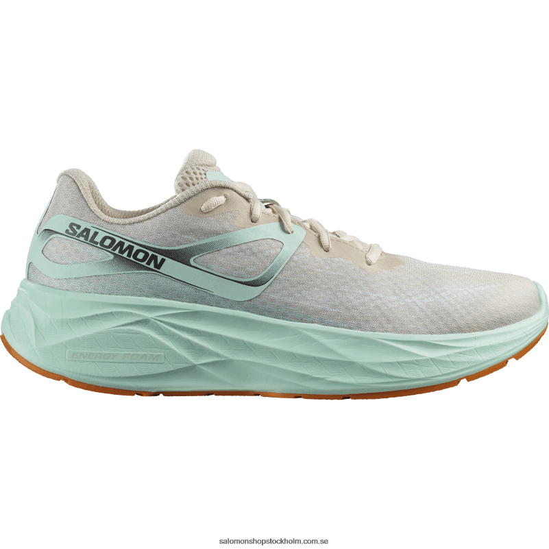 Salomon blekt sand/yucca/apelsinpeppar löparskor för män - aero glide T82RP1066