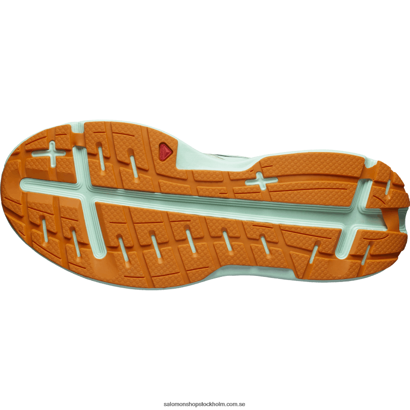 Salomon blekt sand/yucca/apelsinpeppar löparskor för män - aero glide T82RP1066