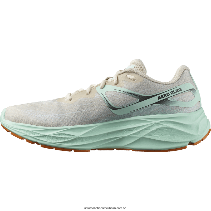 Salomon blekt sand/yucca/apelsinpeppar löparskor för män - aero glide T82RP1066