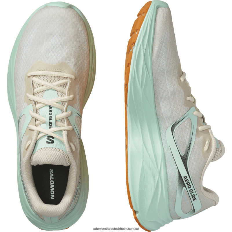 Salomon blekt sand/yucca/apelsinpeppar löparskor för män - aero glide T82RP1066