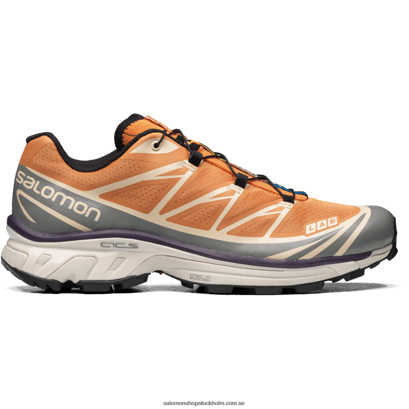 Salomon aprikos buff/frostgrå/sammetsmorgon sportskor för män - xt-6 T82RP73