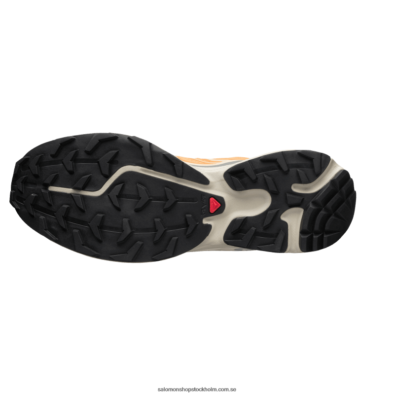 Salomon aprikos buff/frostgrå/sammetsmorgon sportskor för män - xt-6 T82RP73