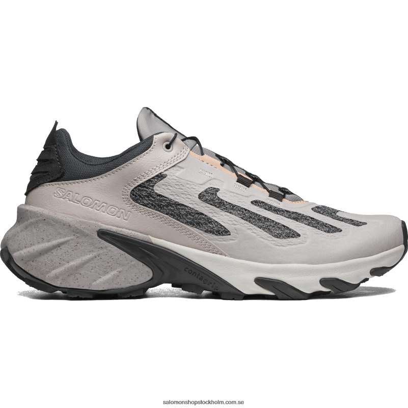 Salomon aska av rosor/mås/rosmoln sportskor för män - speedverse prg T82RP112