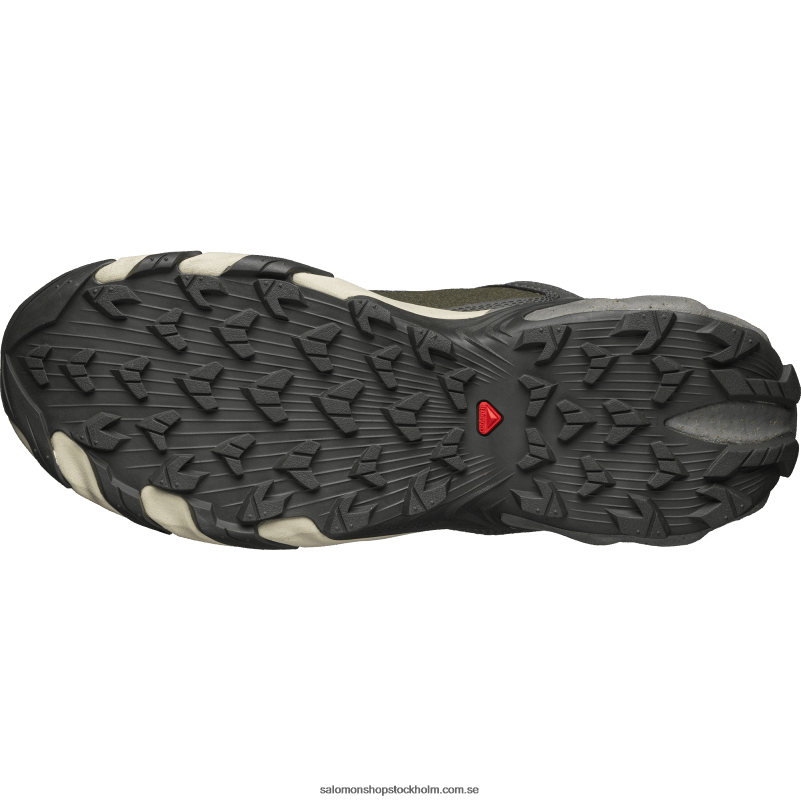 Salomon beluga/tenn/månlandskap sportskor för män - speedverse prg T82RP113