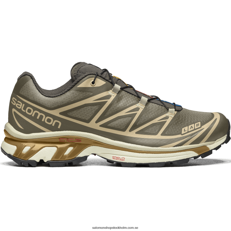 Salomon beluga/tenn/tråkigt guld sportskor för män - xt-6 T82RP71