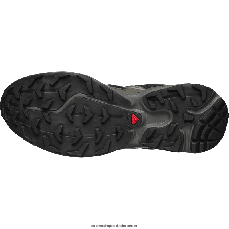 Salomon beluga/torv/sommargrönt sportskor för män - xt-6 expanse T82RP98