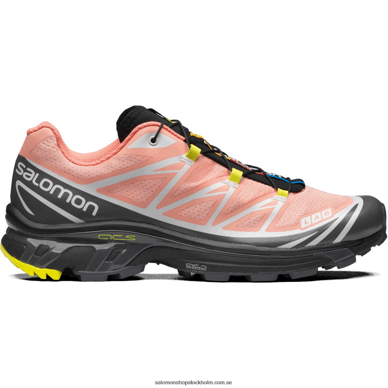 Salomon blommande dahlia/monument/svart sportskor för män - xt-6 T82RP72
