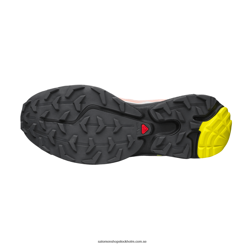 Salomon blommande dahlia/monument/svart sportskor för män - xt-6 T82RP72