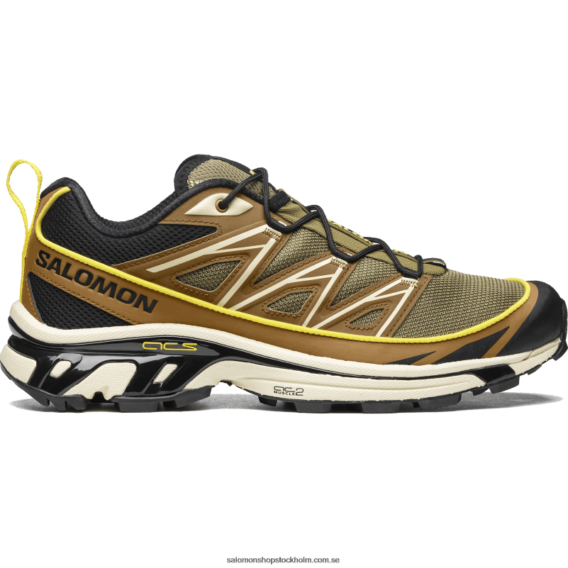 Salomon cathay krydda/ödla/smörblomma sportskor för män - xt-6 expanse T82RP100