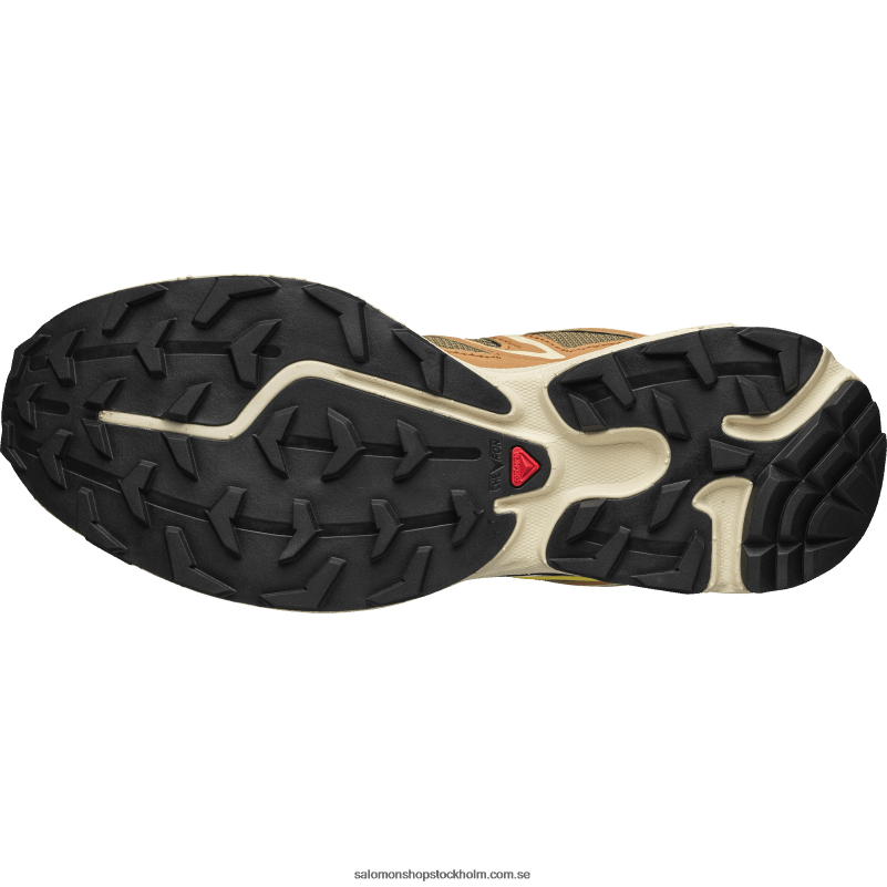 Salomon cathay krydda/ödla/smörblomma sportskor för män - xt-6 expanse T82RP100