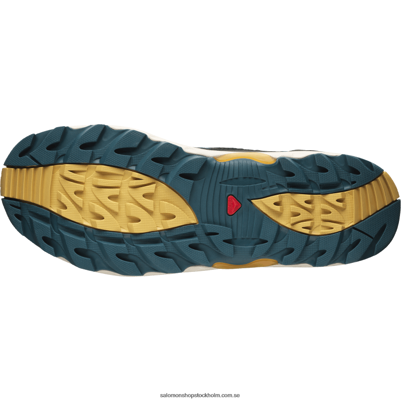 Salomon chokladfondant/arrowwood/svart sportskor för män - xa pro 1 mid gore-tex T82RP198
