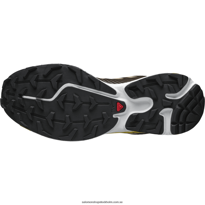 Salomon delicioso/kola/empiregul sportskor för män - xt-4 T82RP217