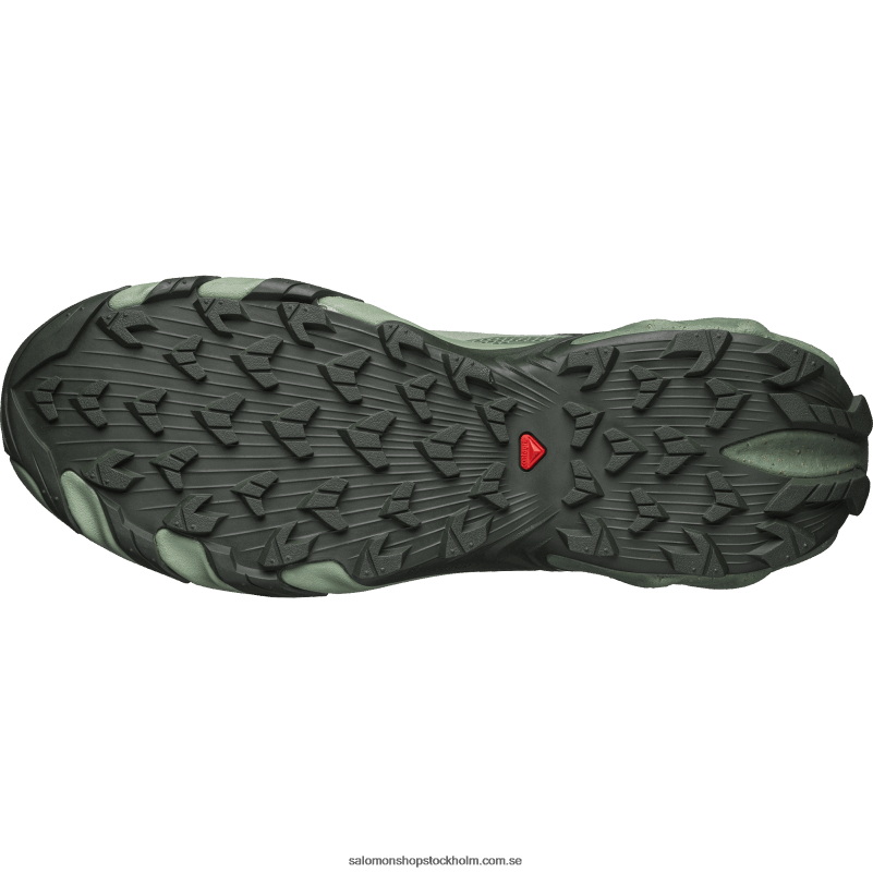 Salomon djup skog/lagerkrans/liljedyna sportskor för män - speedverse prg T82RP115