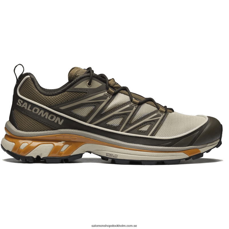 Salomon fjädergrå/delicioso/guld ek sportskor för män - xt-6 expanse T82RP99
