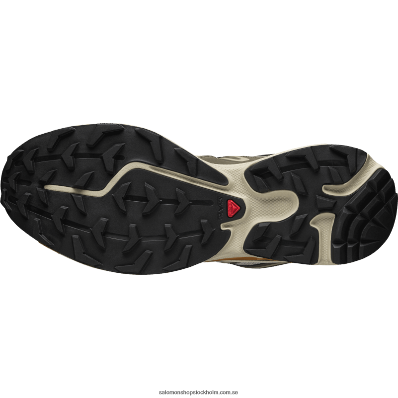Salomon fjädergrå/delicioso/guld ek sportskor för män - xt-6 expanse T82RP99
