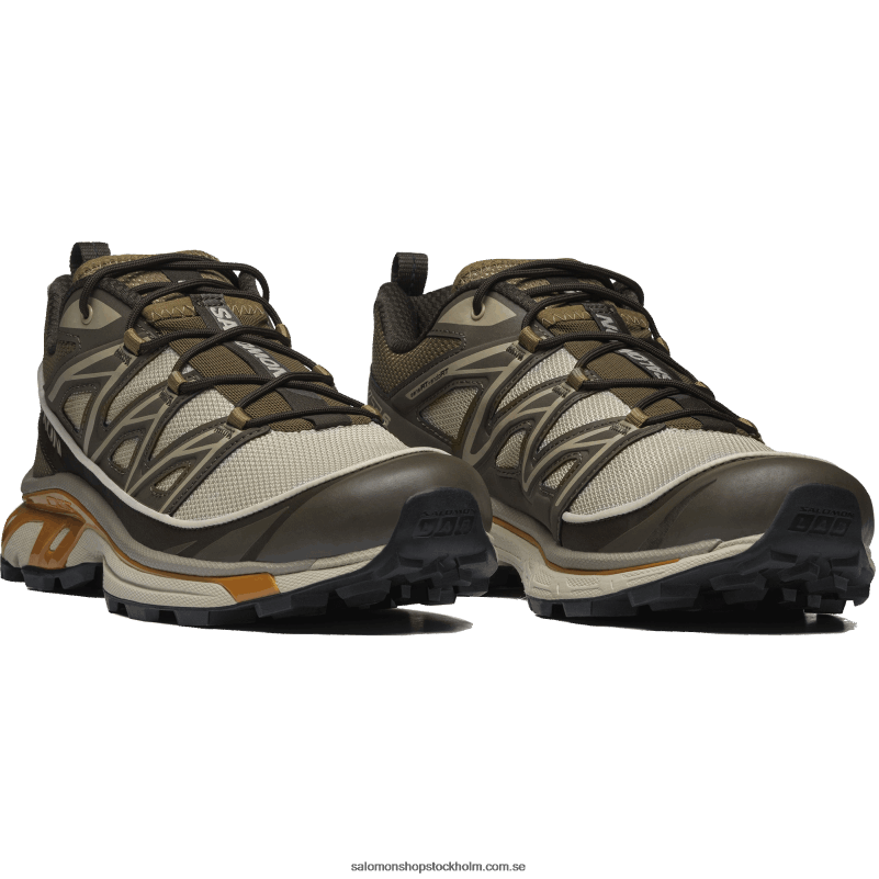 Salomon fjädergrå/delicioso/guld ek sportskor för män - xt-6 expanse T82RP99
