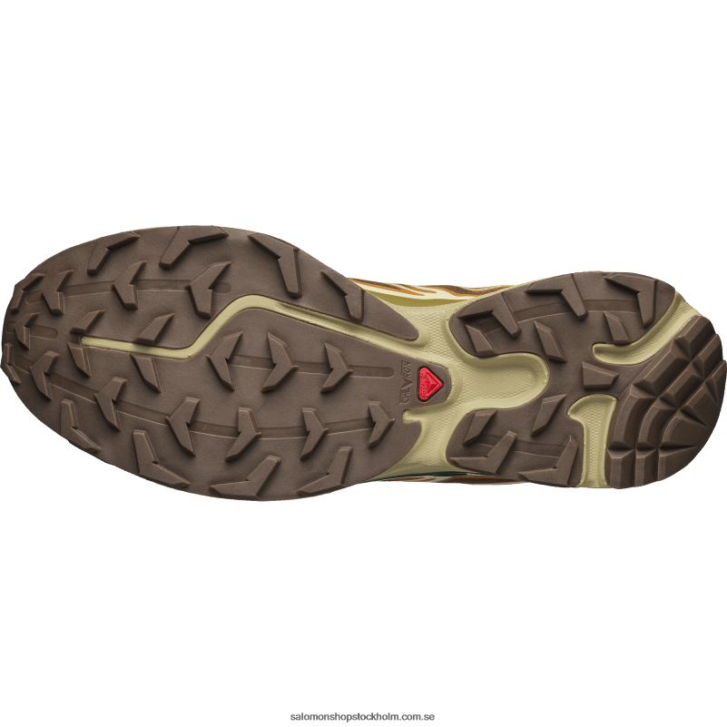 Salomon gummi/ödla/eden sportskor för män - xt-6 T82RP81