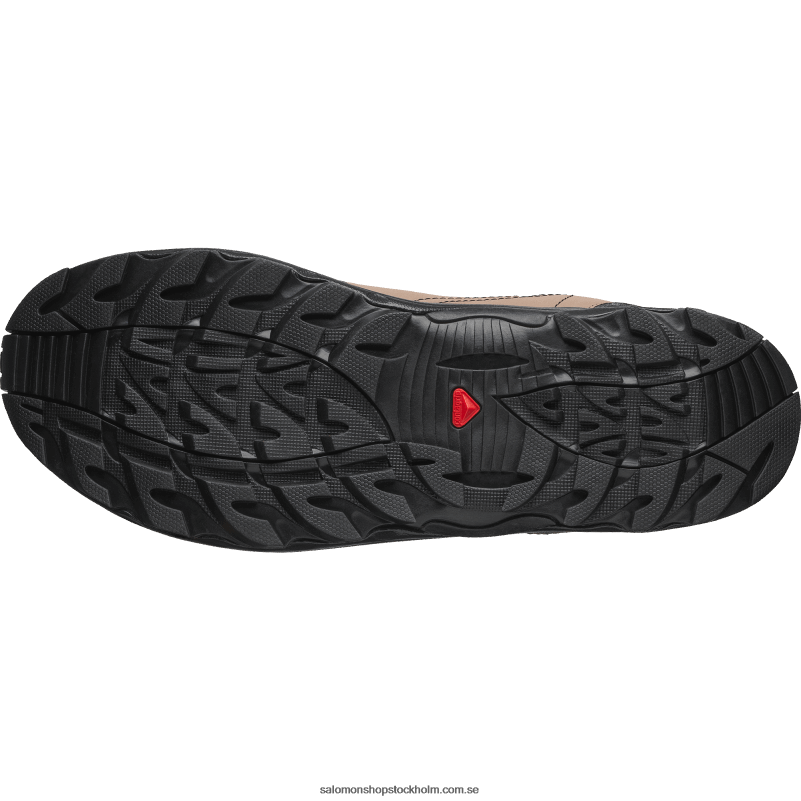Salomon gyllene ek/ekollon/svart sportskor för män - raid wind 75:e T82RP161