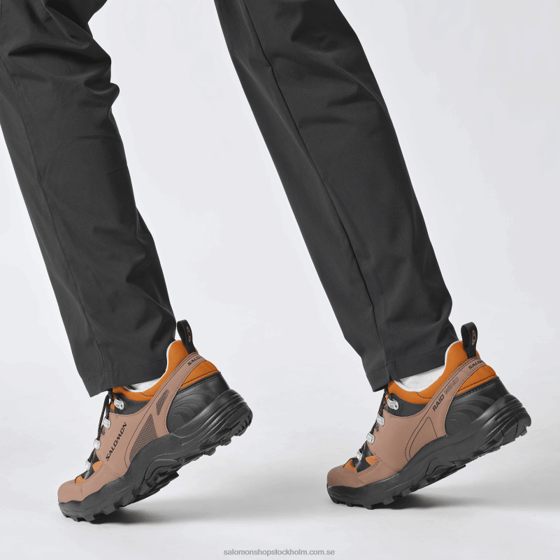 Salomon gyllene ek/ekollon/svart sportskor för män - raid wind 75:e T82RP161