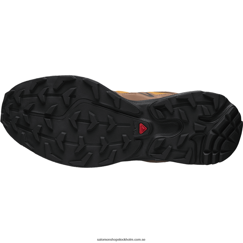 Salomon gyllene ek/ekollon/svart sportskor för män - xt-6 expanse 75th T82RP225
