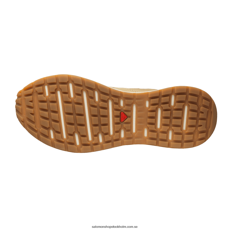 Salomon kelp/ökenpalm/vaniljis vandringsskor för män - odyssey 1 avancerad T82RP224