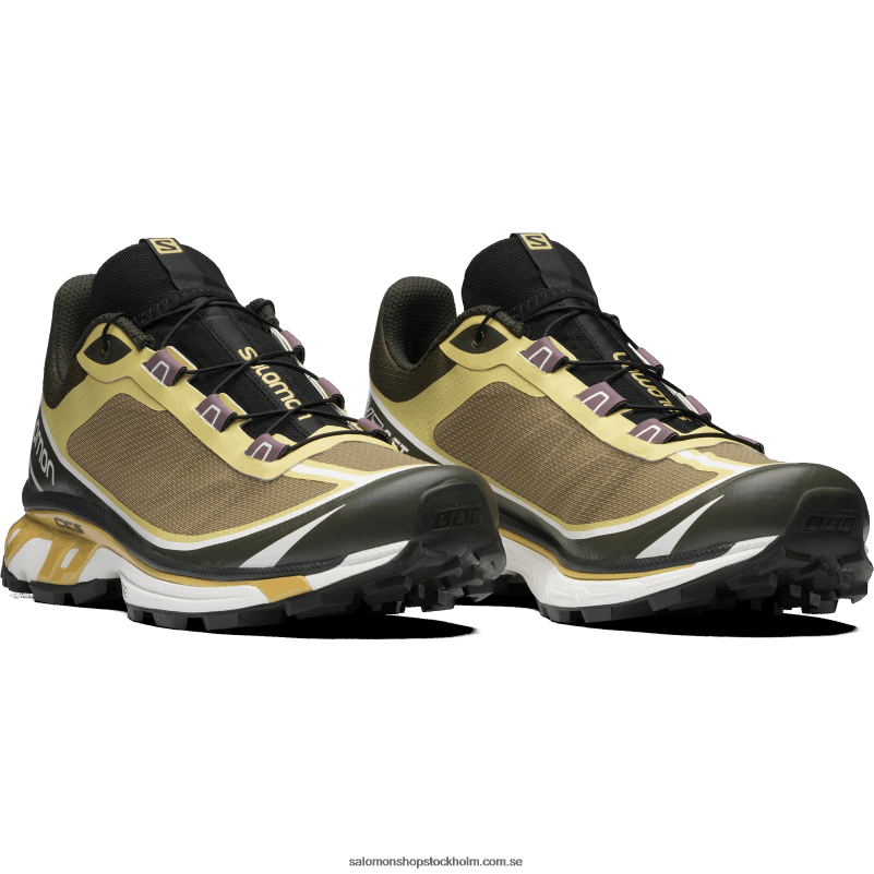 Salomon kelp/purjolök grön/fallblad sportskor för män - xt-6 ft T82RP93
