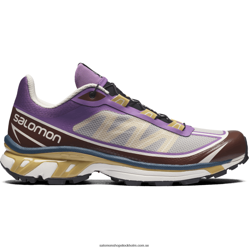 Salomon kunglig lila/chokladfondant/höstlöv sportskor för män - xt-6 ft T82RP96