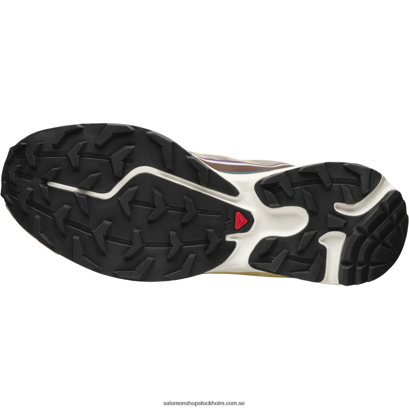 Salomon kunglig lila/chokladfondant/höstlöv sportskor för män - xt-6 ft T82RP96