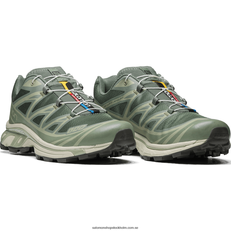Salomon lagerkrans/liljedyna/ökensalvia sportskor för män - xt-6 T82RP77
