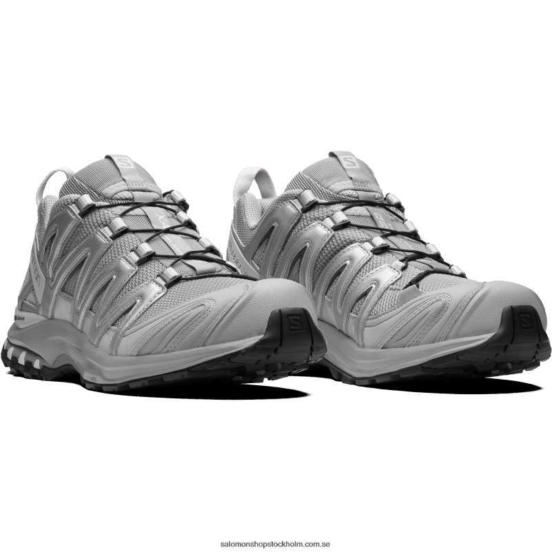 Salomon legering/silver/månsten sportskor för män - xa pro 3d T82RP222