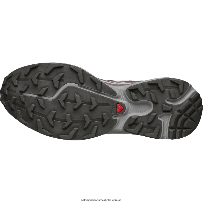 Salomon månlandskap/plommonkattunge/mås sportskor för män - xt-6 T82RP79