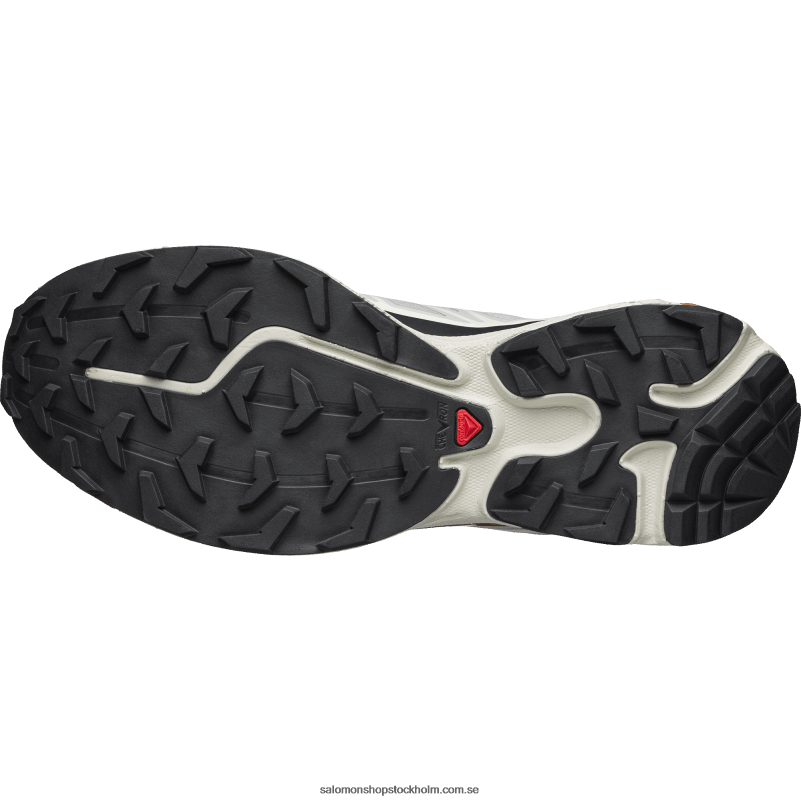 Salomon månsten/mörk safir/gummi sportskor för män - xt-6 T82RP78