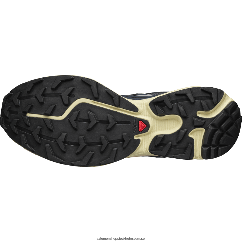 Salomon mörkt safir/india bläck/rosa moln sportskor för män - xt-6 expanse T82RP101
