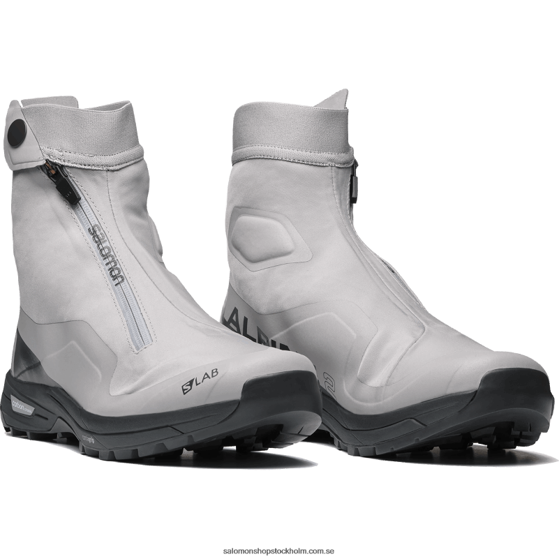 Salomon mås/fantom/arktisk is sportskor för män - xa alpine 2 advanced T82RP201
