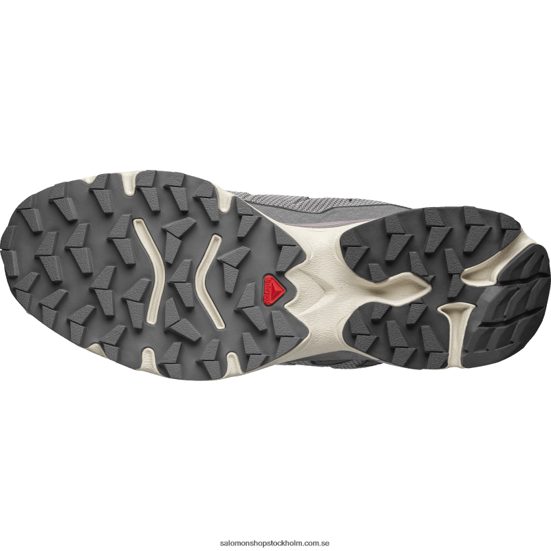 Salomon mås/månlandskap/tenn sportskor för män - xt-slate advanced T82RP154