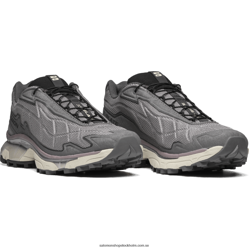 Salomon mås/månlandskap/tenn sportskor för män - xt-slate advanced T82RP154
