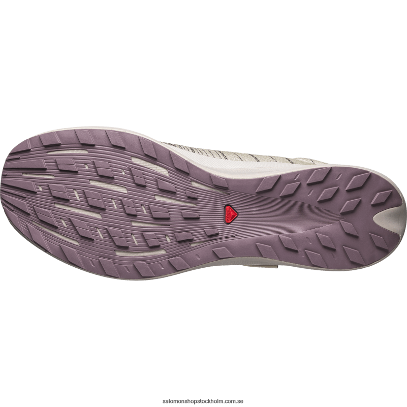 Salomon mal/aska av rosor/månlandskap sportskor för män - pulsar advanced T82RP140