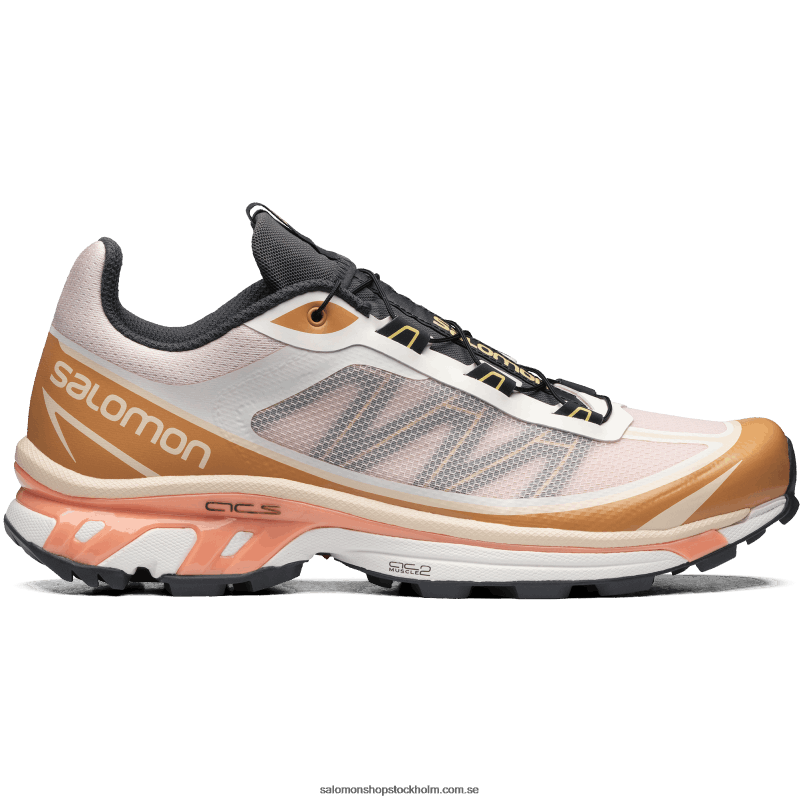 Salomon morganit/bockhornsklöver/svart sportskor för män - xt-6 ft T82RP94
