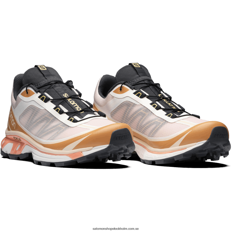 Salomon morganit/bockhornsklöver/svart sportskor för män - xt-6 ft T82RP94