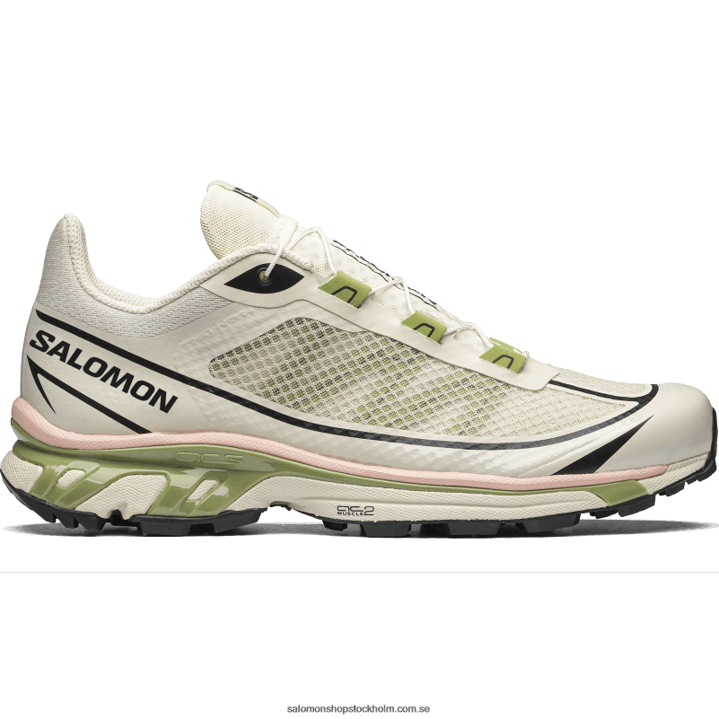 Salomon regnig dag/epsom/persika beige sportskor för män - xt-6 ft T82RP90