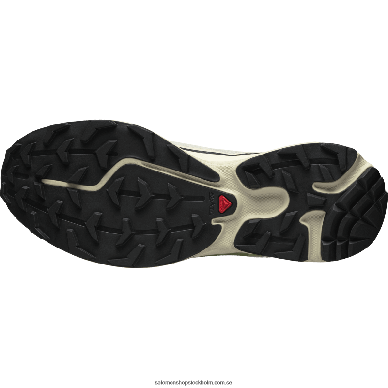 Salomon regnig dag/epsom/persika beige sportskor för män - xt-6 ft T82RP90