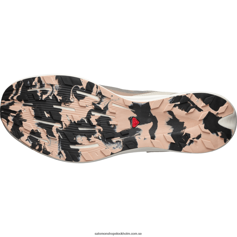 Salomon regnig dag/mockamousse/vaniljglass sportskor för män - pulsar prg T82RP159