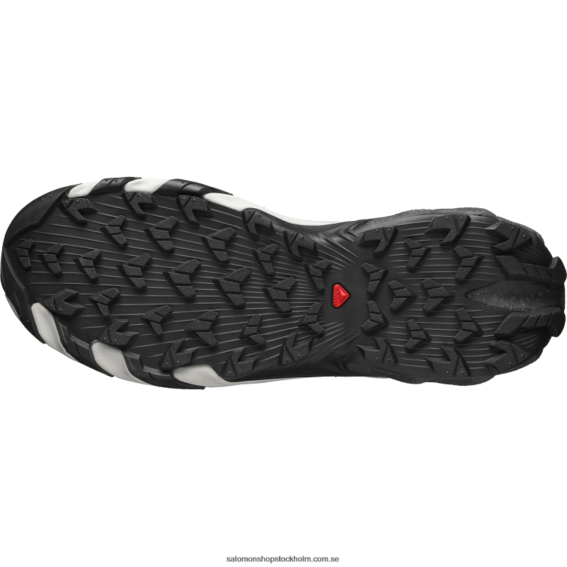 Salomon silver/frostgrå/månsten sportskor för män - speedverse prg T82RP114