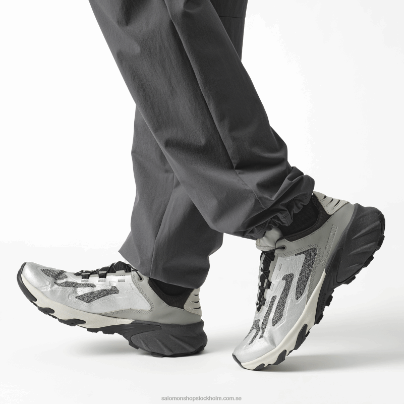 Salomon silver/frostgrå/månsten sportskor för män - speedverse prg T82RP114