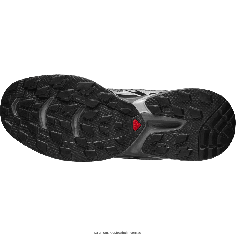 Salomon silver/tyst nyans/svart sportskor för män - xt-wings 2 T82RP188