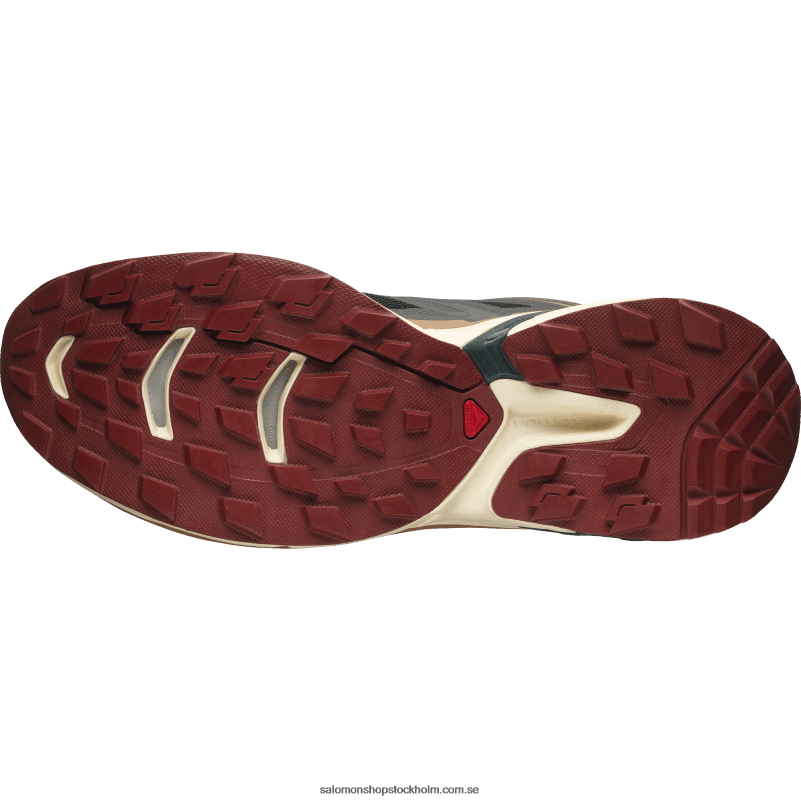 Salomon svart/blekt sand/ponderosa tall sportskor för män - xt-wings 2 T82RP197