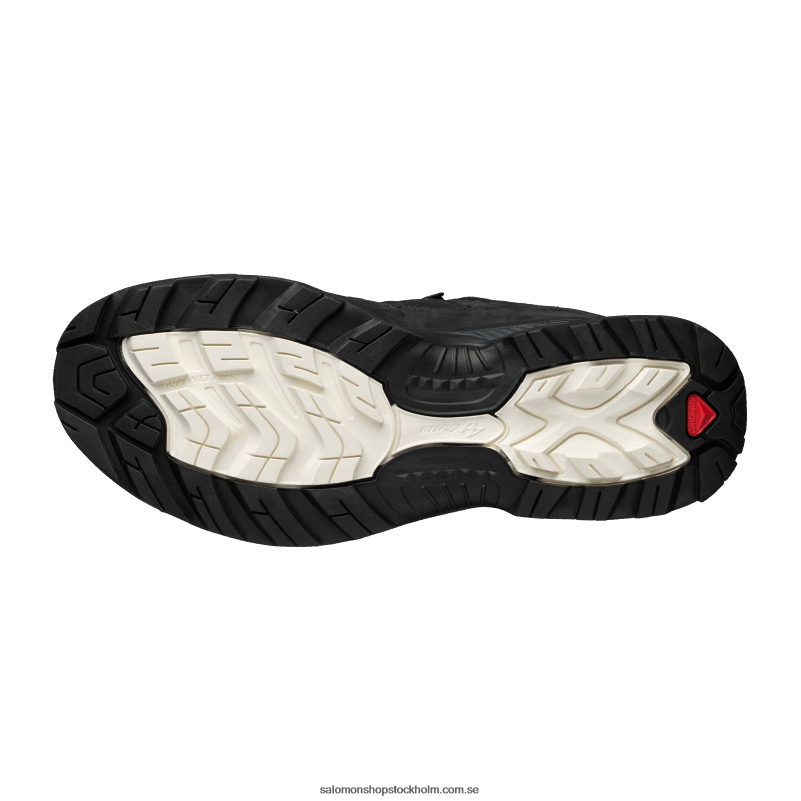 Salomon svart/ebenholts/frostgrå sportskor för män - xt-quest 2 advanced T82RP134